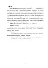 Silicio slėnis 4 puslapis