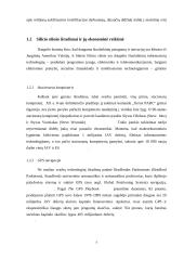 Silicio slėnis 6 puslapis