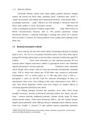 Silicio slėnis 7 puslapis