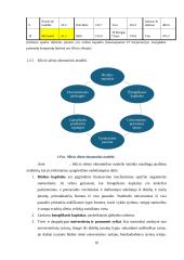 Silicio slėnis 9 puslapis