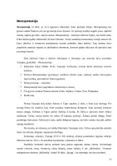 Žemėlapiai ir miesto civilizacijų vystymasis 14 puslapis