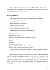 Žemėlapiai ir miesto civilizacijų vystymasis 17 puslapis