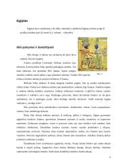 Žemėlapiai ir miesto civilizacijų vystymasis 3 puslapis