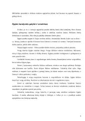 Žemėlapiai ir miesto civilizacijų vystymasis 8 puslapis