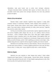 Žemėlapiai ir miesto civilizacijų vystymasis 10 puslapis