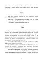 Eksplotuojamos naudingosios iškasenos 6 puslapis