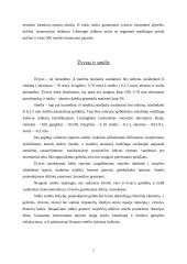 Eksplotuojamos naudingosios iškasenos 7 puslapis