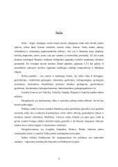 Eksplotuojamos naudingosios iškasenos 9 puslapis