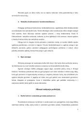Mokytojo profesija šiandien: 5 pliusai ir 5 minusai  3 puslapis