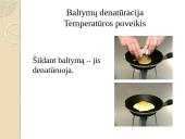 Baltymų sudėtis, gavimas, skirstymas, struktūros ir funkcijos 18 puslapis
