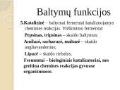 Baltymų sudėtis, gavimas, skirstymas, struktūros ir funkcijos 10 puslapis
