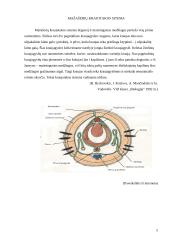 Žieduotuojų kirmėlių kraujo histologija 5 puslapis