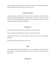 Paauglių naudojimosi socialiniais tinklais ir savivertės ryšys. Metodologija 2 puslapis