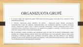 Bendrininkavimo formos: bendrininkų grupė, organizuota grupė ir nusikalstamas susivienijimas 8 puslapis