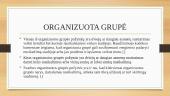 Bendrininkavimo formos: bendrininkų grupė, organizuota grupė ir nusikalstamas susivienijimas 9 puslapis