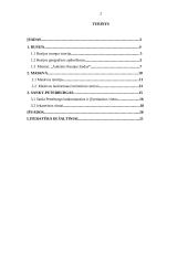 Žymiausi Rusijos turistiniai centrai: atraktyvumas 2 puslapis