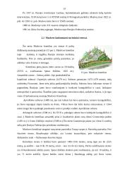 Žymiausi Rusijos turistiniai centrai: atraktyvumas 13 puslapis