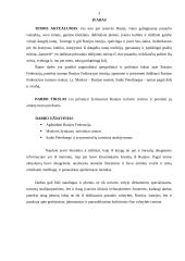 Žymiausi Rusijos turistiniai centrai: atraktyvumas 3 puslapis