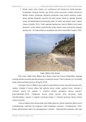 Baltijos jūros kranto ties Olando kepure 2019–2020 m. pokyčių tyrimas 12 puslapis