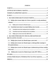 Baltijos jūros kranto ties Olando kepure 2019–2020 m. pokyčių tyrimas 4 puslapis