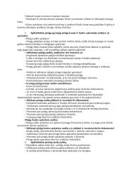Finansinio audito teorija 3 puslapis