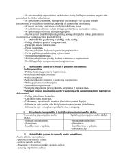 Finansinio audito teorija 4 puslapis