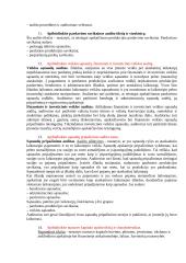 Finansinio audito teorija 5 puslapis