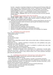 Finansinio audito teorija 6 puslapis