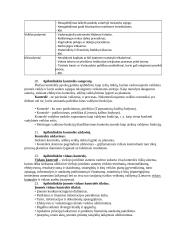 Finansinio audito teorija 8 puslapis