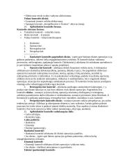 Finansinio audito teorija 9 puslapis