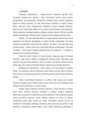 Žinduolių nykimas 2 puslapis