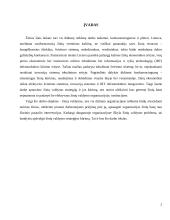 Žinių valdymo sistemos 2 puslapis