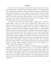 Žinių valdymo sistemos 11 puslapis