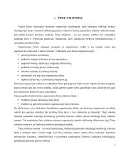 Žinių valdymo sistemos 3 puslapis