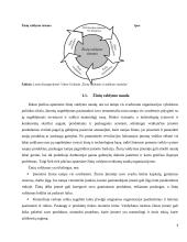 Žinių valdymo sistemos 4 puslapis