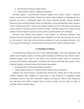 Žinių valdymo sistemos 8 puslapis