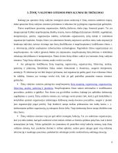 Žinių valdymo sistemos 9 puslapis