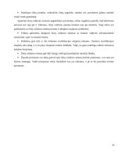 Žinių valdymo sistemos 10 puslapis