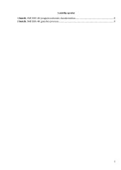 Plastikinio buteliuko gamyba 2 puslapis