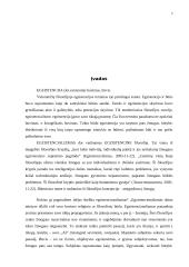 Žmogaus būtis egzistencionalizme 2 puslapis