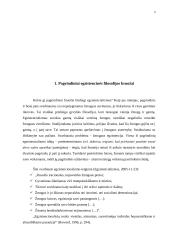 Žmogaus būtis egzistencionalizme 4 puslapis