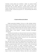 Žmogaus būtis egzistencionalizme 10 puslapis