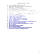 Patarlių ir priežodžių panaudojimas pedagogikoje 12 puslapis