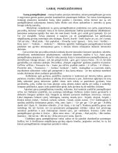 Patarlių ir priežodžių panaudojimas pedagogikoje 10 puslapis