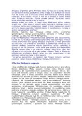 Žmogaus egzistencijos samprata 4 puslapis