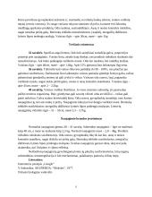 Žmogaus gemalo vystymasis 9 puslapis