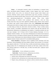 Akcizai, nekilnojamo turto mokestis 2 puslapis