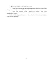 Akcizai, nekilnojamo turto mokestis 3 puslapis