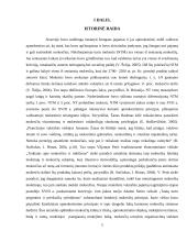 Akcizai, nekilnojamo turto mokestis 4 puslapis