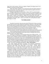 Žmogaus gyvenimo bei mirties prasmė 5 puslapis